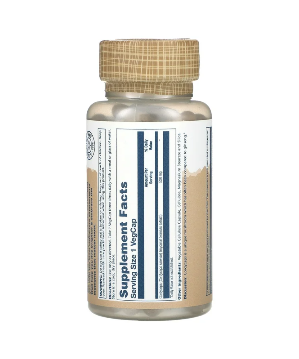 Cordyceps