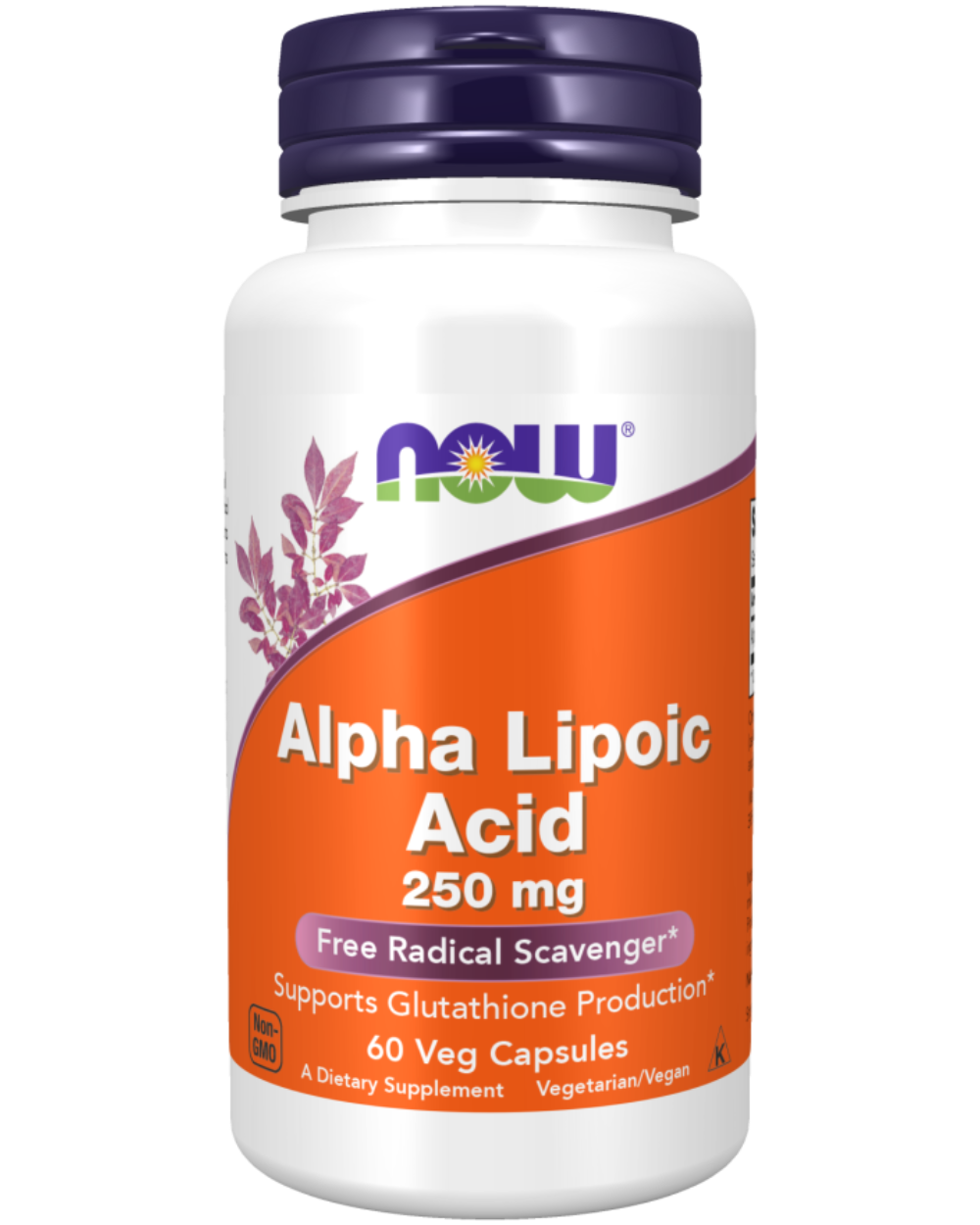 Alpha Lipoic Acid 250 mg All Pro Nutrition Inc. Alpha Lipoic Acid 250 mg All Pro Nutrition Inc.