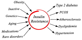Blood Sugar Insulin