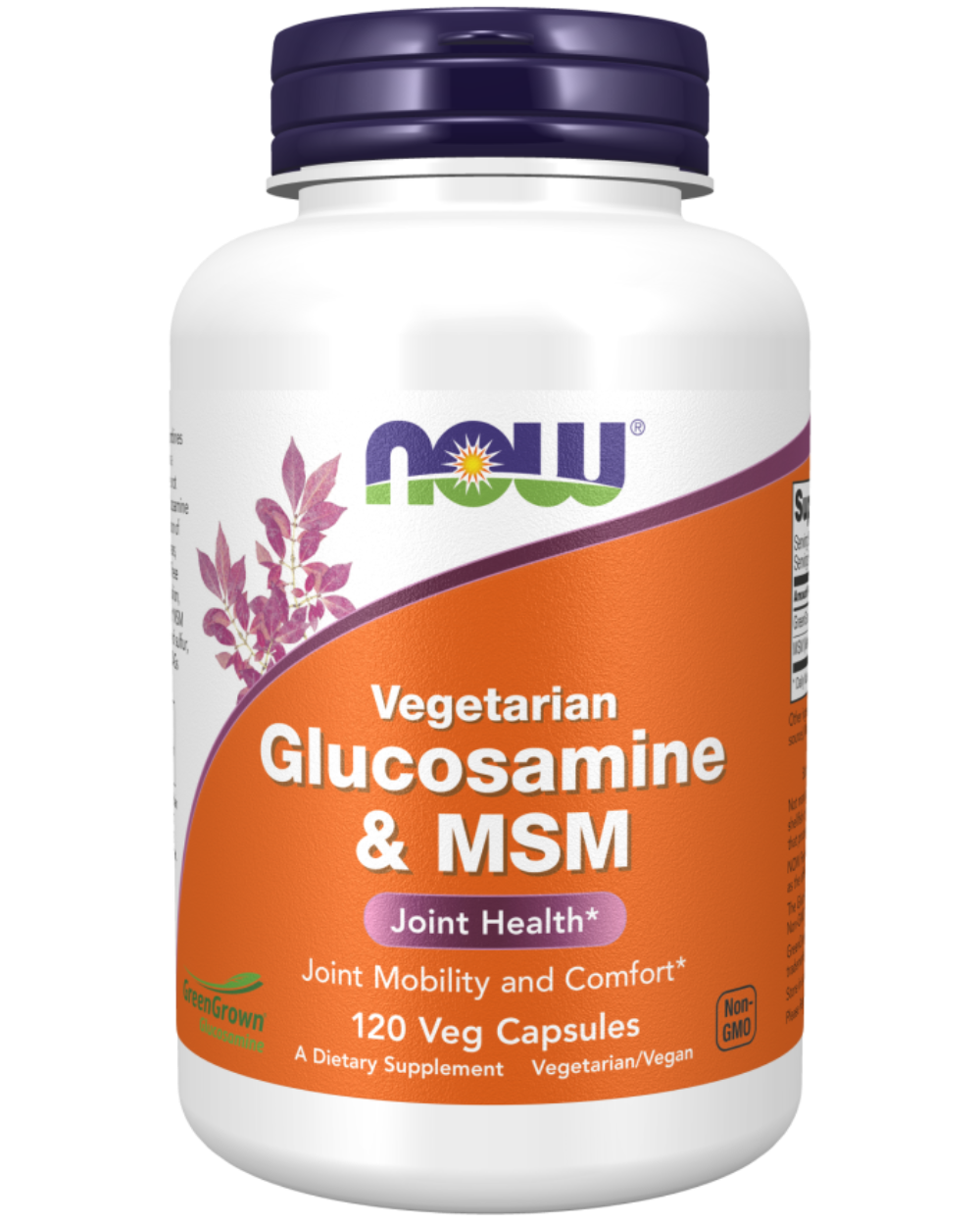 Vegetarian Glucosamine & MSM